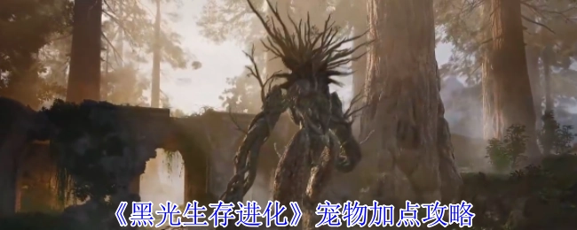 《黑光生存进化》宠物属性加点攻略