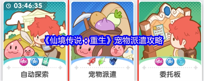《仙境传说：重生》宠物派遣的详细攻略