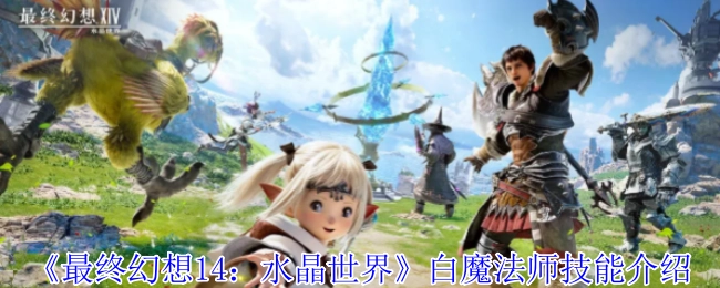 《最终幻想14：水晶世界》中白魔法师的技能说明