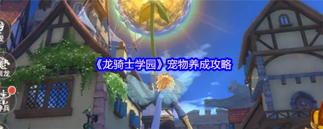 《龙骑士学园》中宠物养成的详细攻略