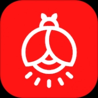 火萤壁纸直装版