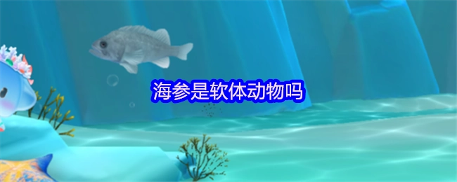 海参属于软体动物吗