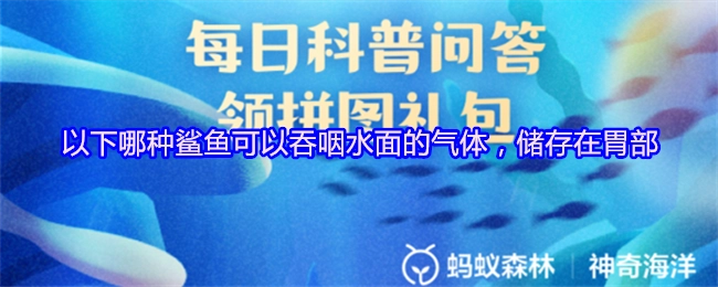 以下哪一种鲨鱼具备吞咽水面气体并将其储存在胃部的能力