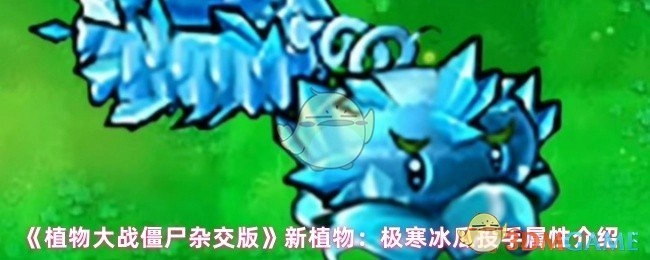 《植物大战僵尸杂交版》全新植物之极寒冰瓜投手属性大揭秘