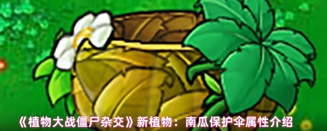 《植物大战僵尸杂交》全新植物之南瓜保护伞属性全解析
