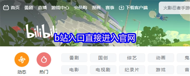 直接通过B站入口进入官网