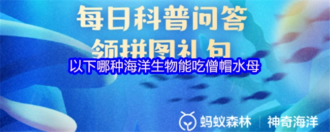 以下哪种海洋生物会捕食僧帽水母？