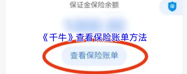 了解在《千牛》中查看保险账单的方式