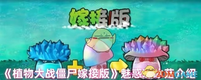 《植物大战僵尸嫁接版》中魅惑寒冰菇的介绍