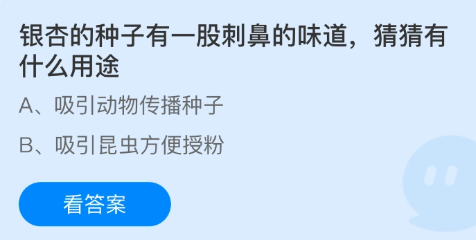银杏种子散发着刺鼻气味，你能猜到它有哪些用途吗？