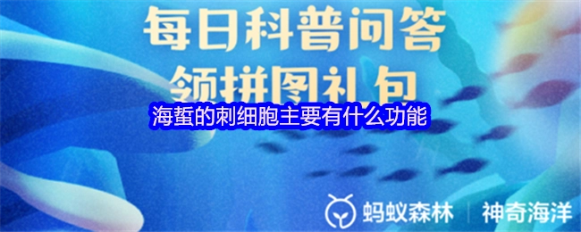 海蜇的刺细胞具备哪些主要功能？