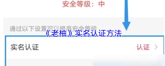 《老柚》进行实名认证的方式