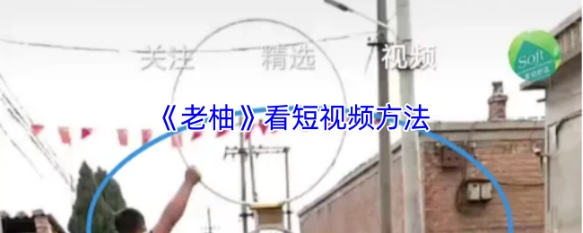 《老柚》短视频观看方式