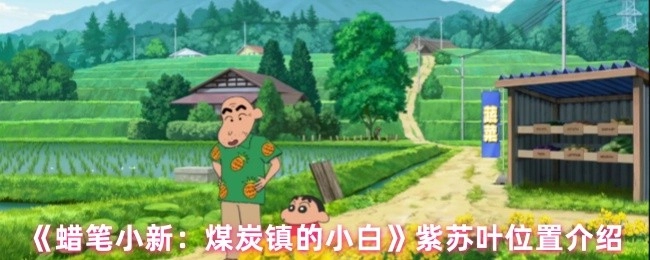 《蜡笔小新：煤炭镇的小白》中紫苏叶所在位置的介绍