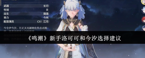 《鸣潮》新手关于洛可可与今汐的选择建议