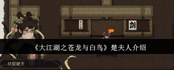 对《大江湖之苍龙与白鸟》里楚夫人的介绍