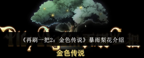 《再刷一把2：金色传说》中暴雨梨花的介绍