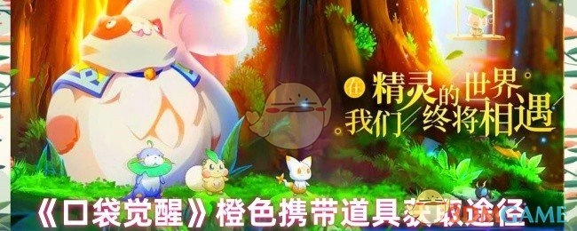 《口袋觉醒》中橙色携带道具的获取方式