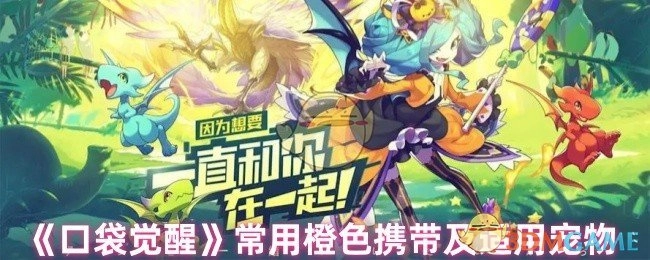 《口袋觉醒》常见橙色携带物品及其适用宠物