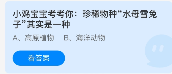 小鸡宝宝来考考你：珍稀物种“水母雪兔子”实际上是一种
