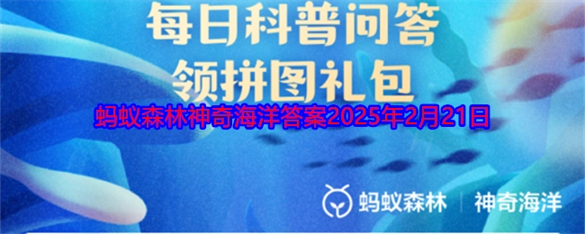 海豚声呐系统所处位置在哪里？