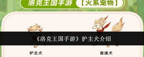关于《洛克王国手游》护主犬的介绍