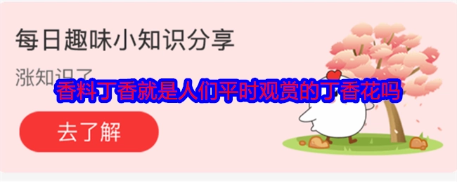 平常人们观赏的丁香花就是香料丁香吗？