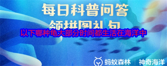 以下哪种龟的大部分时光都在海洋里度过？