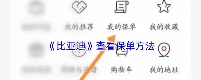了解《比亚迪》保单查看方式