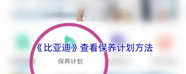 了解《比亚迪》保养计划查看方式