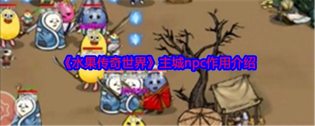 《水果传奇世界》中主城NPC的功能说明