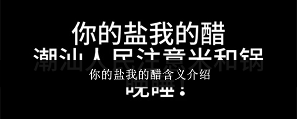 关于“你的盐我的醋”含义的讲解