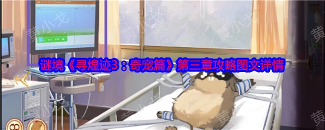 《寻煌迹3：奇宠篇》谜境第三章攻略图文详情