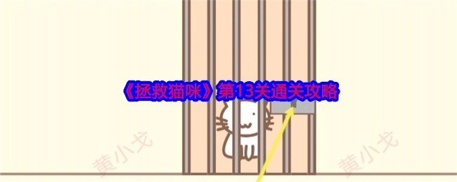 《拯救猫咪》游戏第13关的通关攻略