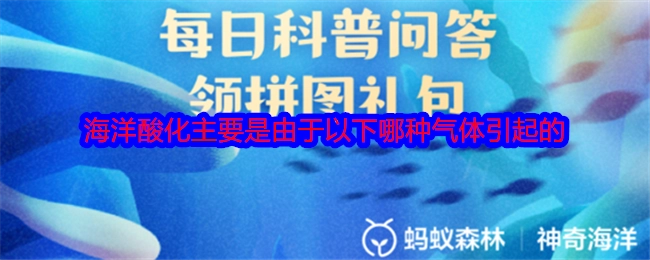 海洋酸化主要是由哪种气体导致的？