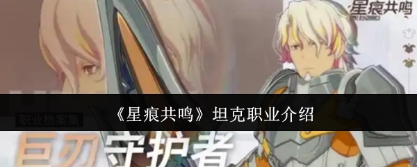 关于《星痕共鸣》坦克职业的介绍