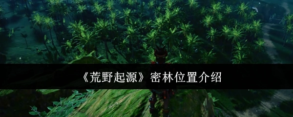 《荒野起源》中密林所在位置的介绍