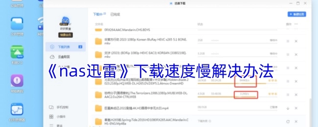 解决《nas迅雷》下载速度慢的方法
