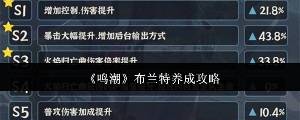 《鸣潮》中布兰特的养成攻略