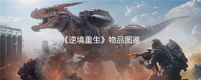 《逆境重生》道具图鉴