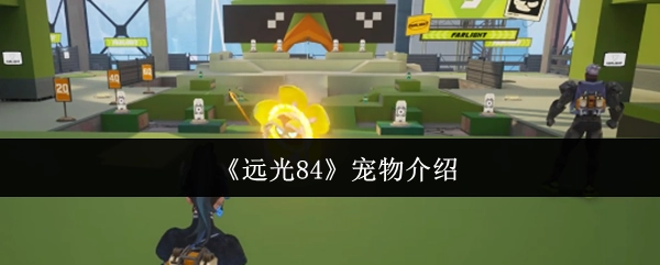 《远光84》游戏宠物详情介绍