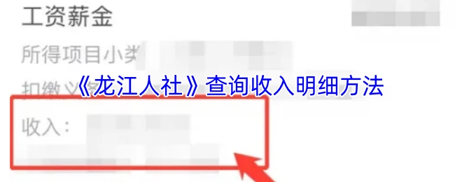 《龙江人社》查询收入明细的具体方法
