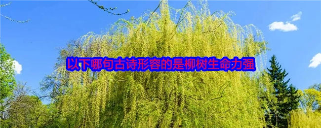 下面哪句古诗描绘的是柳树旺盛的生命力？