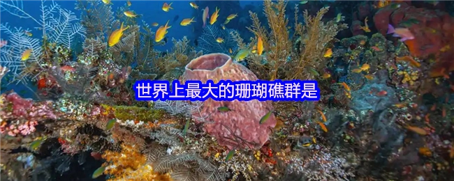 全球范围内规模最为庞大的珊瑚礁群是