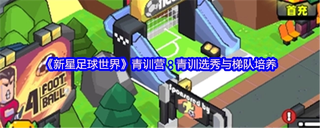 《新星足球世界》青训营：青训选拔与梯队建设