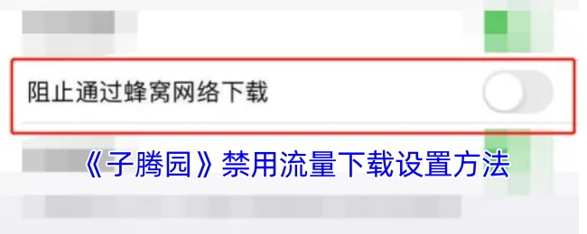 《子腾园》如何设置禁止流量下载