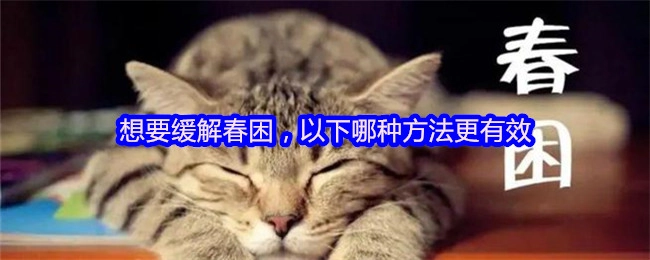 想要缓解春困，以下哪种方法效果更好呢？