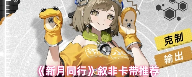 《新月同行》叙非卡带的推荐指南