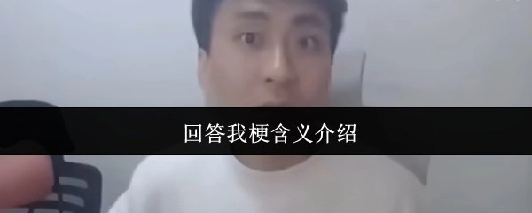 请为我阐释一下这个梗的具体含义