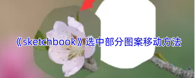 《sketchbook》中选定图案的移动操作方法